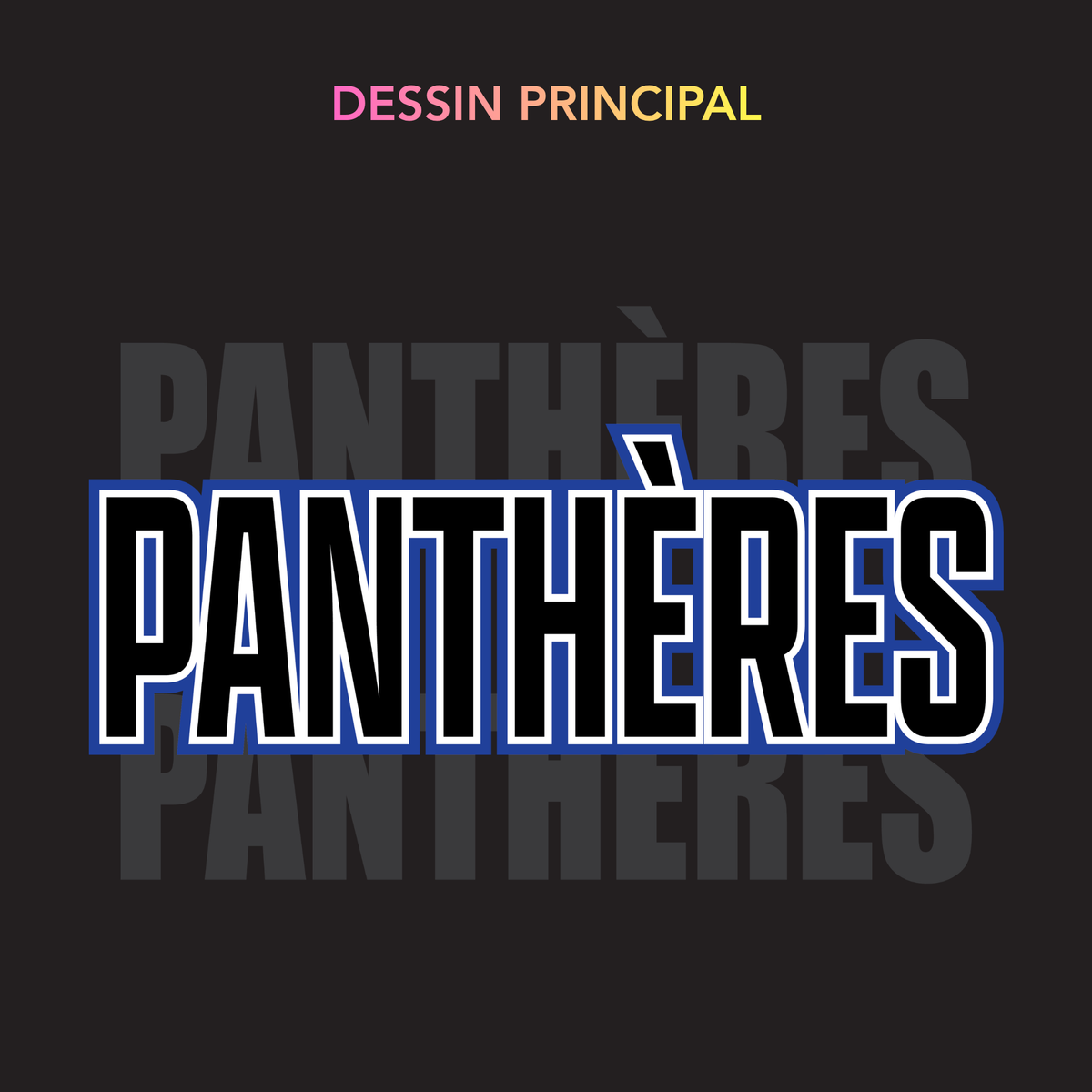 Panthers - Coach's Jersey