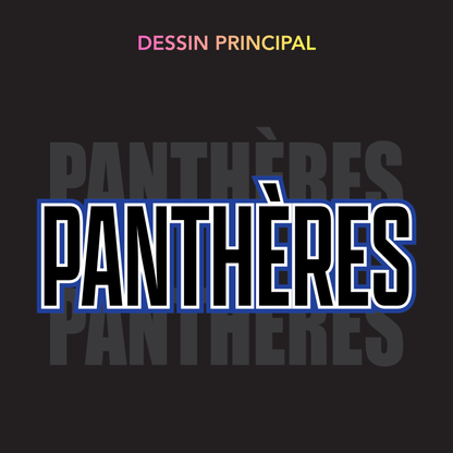Panthers - Coach's Jersey
