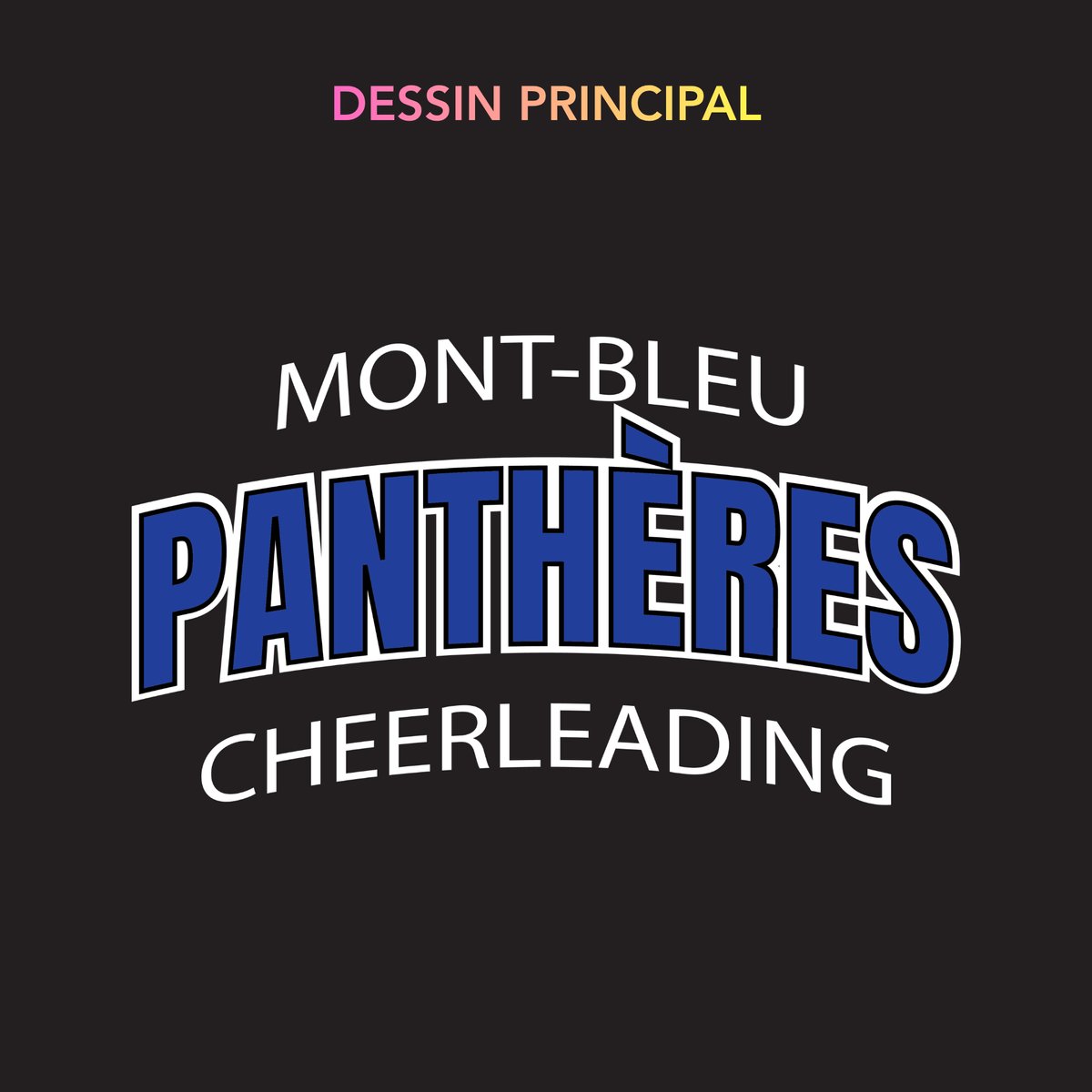 Panthers - 1/4 zip (athlete)
